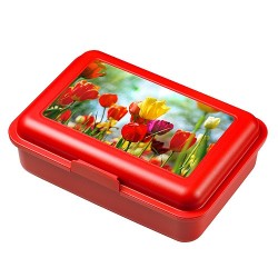 Boîte de rangement School-Box, junior