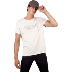 Casquette 5p en coton bio