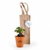 Bonsaï en pot terre cuite et sac prestige kraft