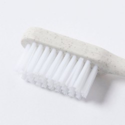 Brosse à Dents de voyage