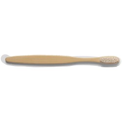 Brosse à Dents