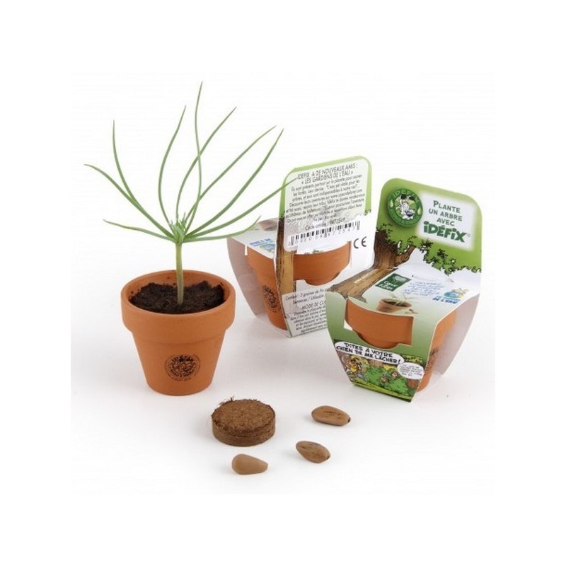 Pot en terre cuite 55mm avec graines à faire pousser modèle avec fronton