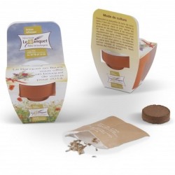 Pot en terre cuite 55mm avec graines à faire pousser modèle avec fronton