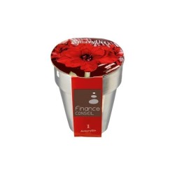 Bulbes de noël en pot argent