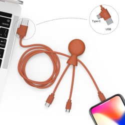 Câble 1 m éco-responsable avec double entrée