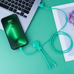 Câble 1 m éco-responsable avec double entrée