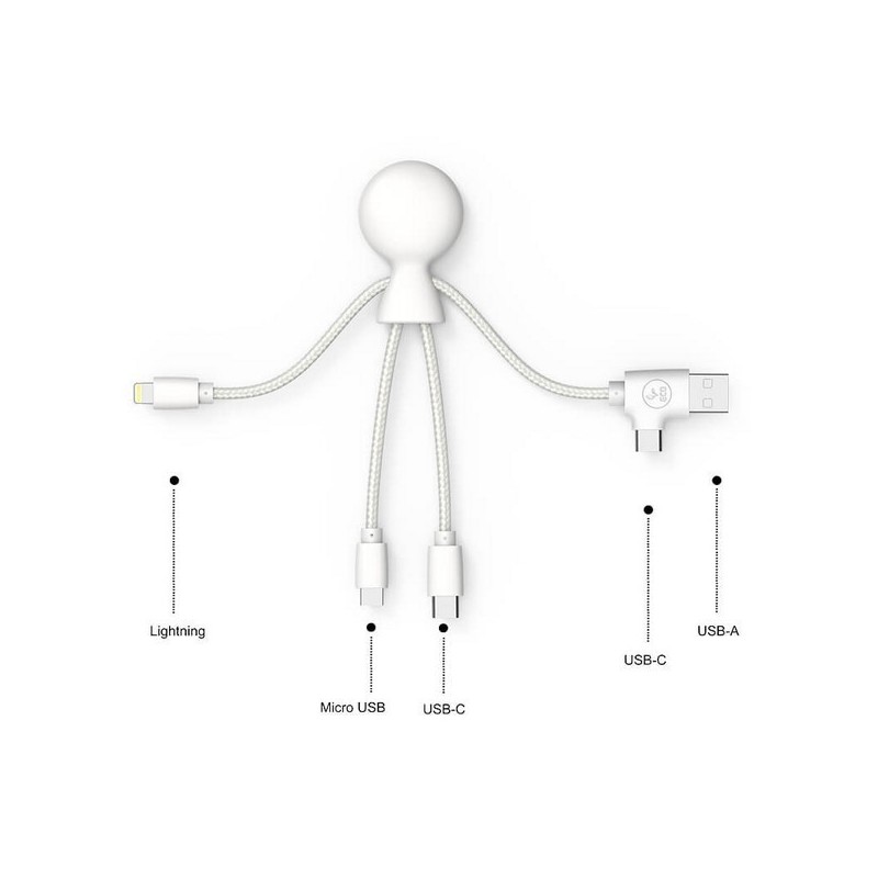 Câble de charge multi-connecteurs Double entrée Type-C & USB 