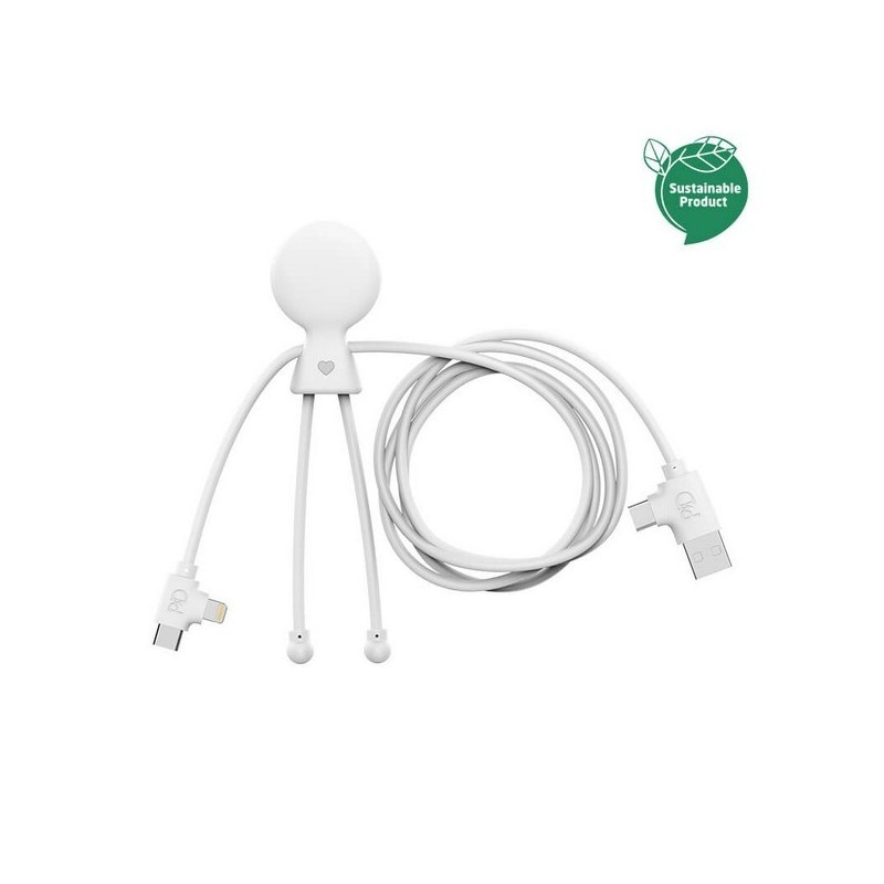 Câble d'1 m charge rapide