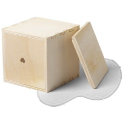 Pot de menthe avec cache-pot