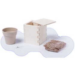 Pot de menthe avec cache-pot