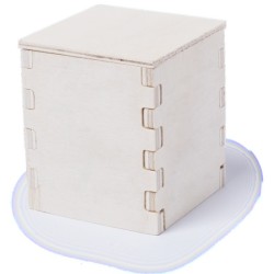 Pot de menthe avec cache-pot