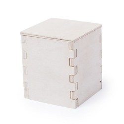 Pot de menthe avec cache-pot