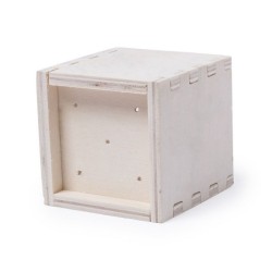 Pot de menthe avec cache-pot