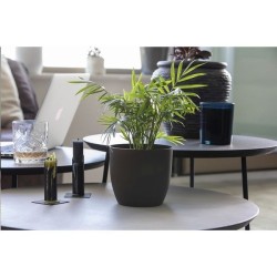 Coffee Flowerpot pot de fleurs