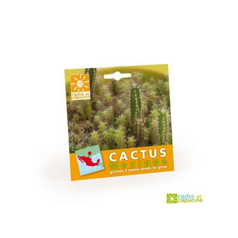 Graines cactus en sachet