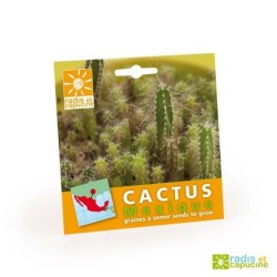 Graines cactus en sachet