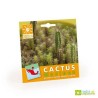 Graines cactus en sachet