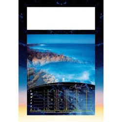 Calendrier illustré 12 feuillets