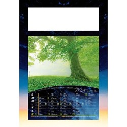 Calendrier illustré 12 feuillets