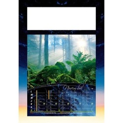 Calendrier illustré 12 feuillets