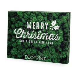 Calendrier de l'Avent à planter