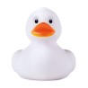Canard moyen en PVC