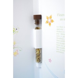 Carte avec tube de graines