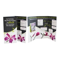 Carte 3 volets avec graines