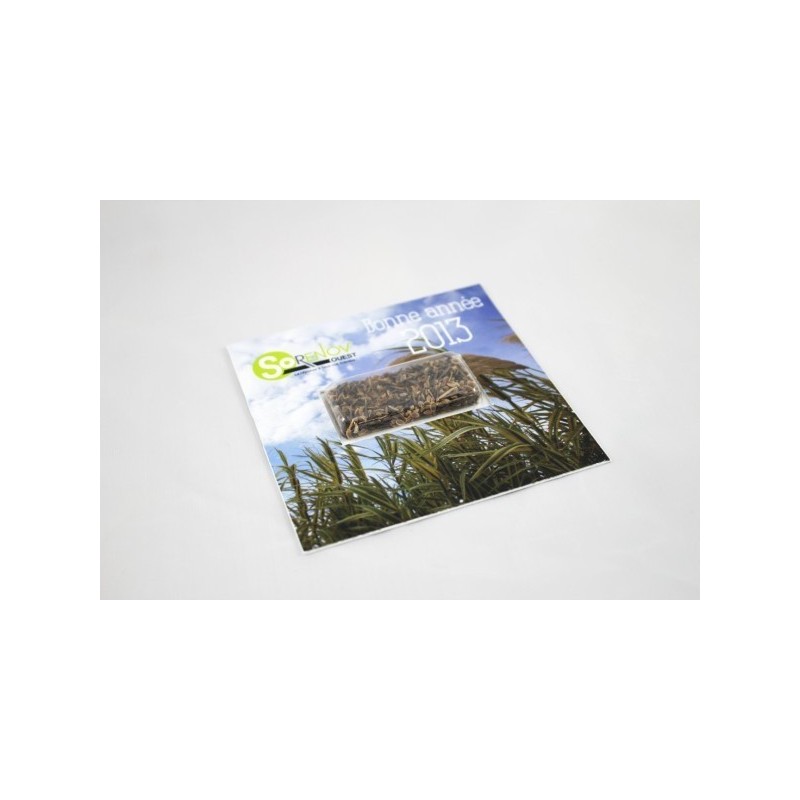 Carte visio-graines carrée