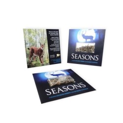 Carte visio-graines carrée