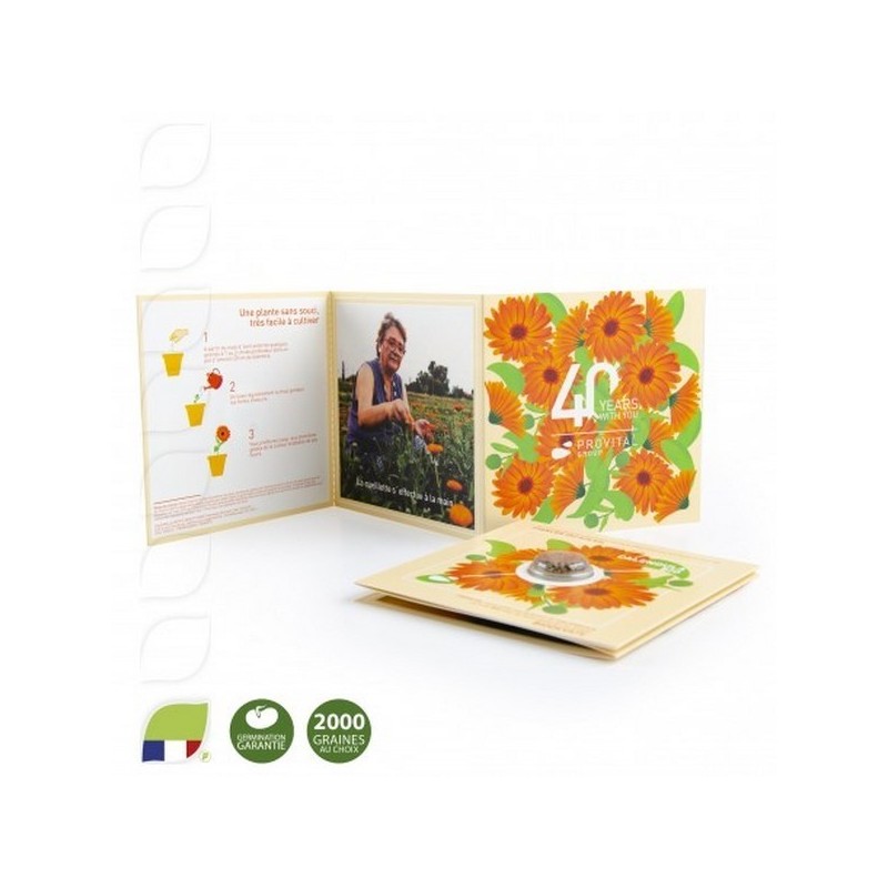 Carte tryptique avec graines en capsule