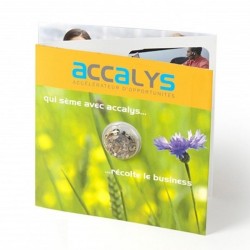 Carte tryptique avec graines en capsule