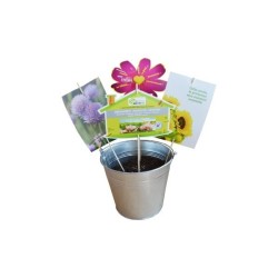 Carte de semis sur tige