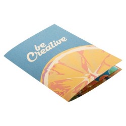 Carte postale avec essuie-lunettes quadri