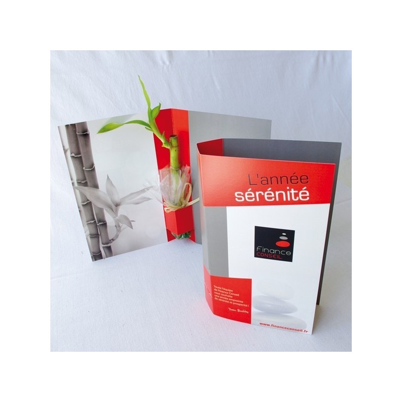 Carte de voeux plante