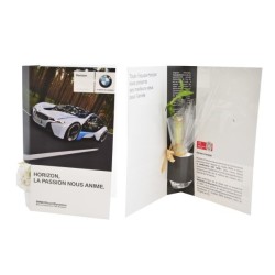 Carte de voeux plante