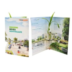 Carte de voeux plante