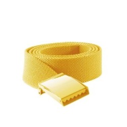 Ceinture en polyester