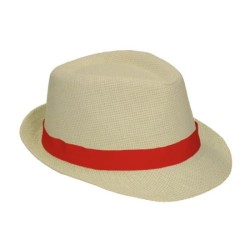 Chapeau Panama