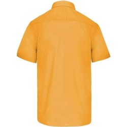 Chemisette polycoton basique