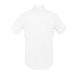 Chemise oxford brisbane elite