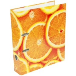 Classeur a4 en carton avec levier