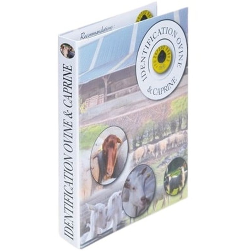 Classeur a4 en carton avec anneaux