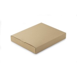 Conférencier avec chargeur à induction