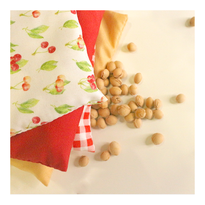 Bouillotte sèche quadri 20x15