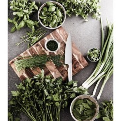 Couteau de chef Hattasan