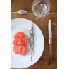Set de 6 couteaux de table laguiole