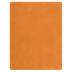 Plaid polaire - James Nicholson