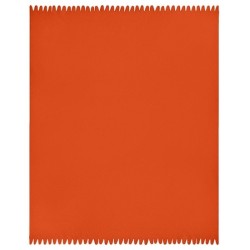 Plaid polaire - James Nicholson