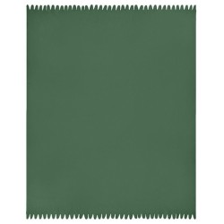 Plaid polaire - James Nicholson